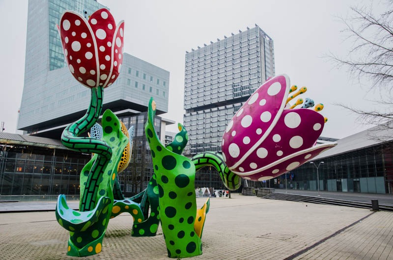 Lille voor beginners