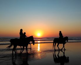 Paardrijden op vakantie