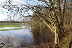 Drentsche Aa