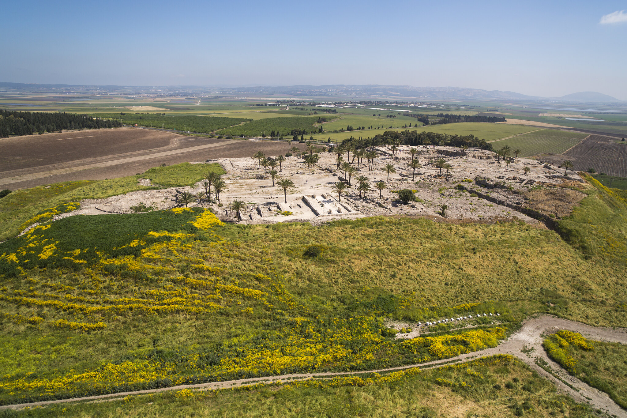Megiddo