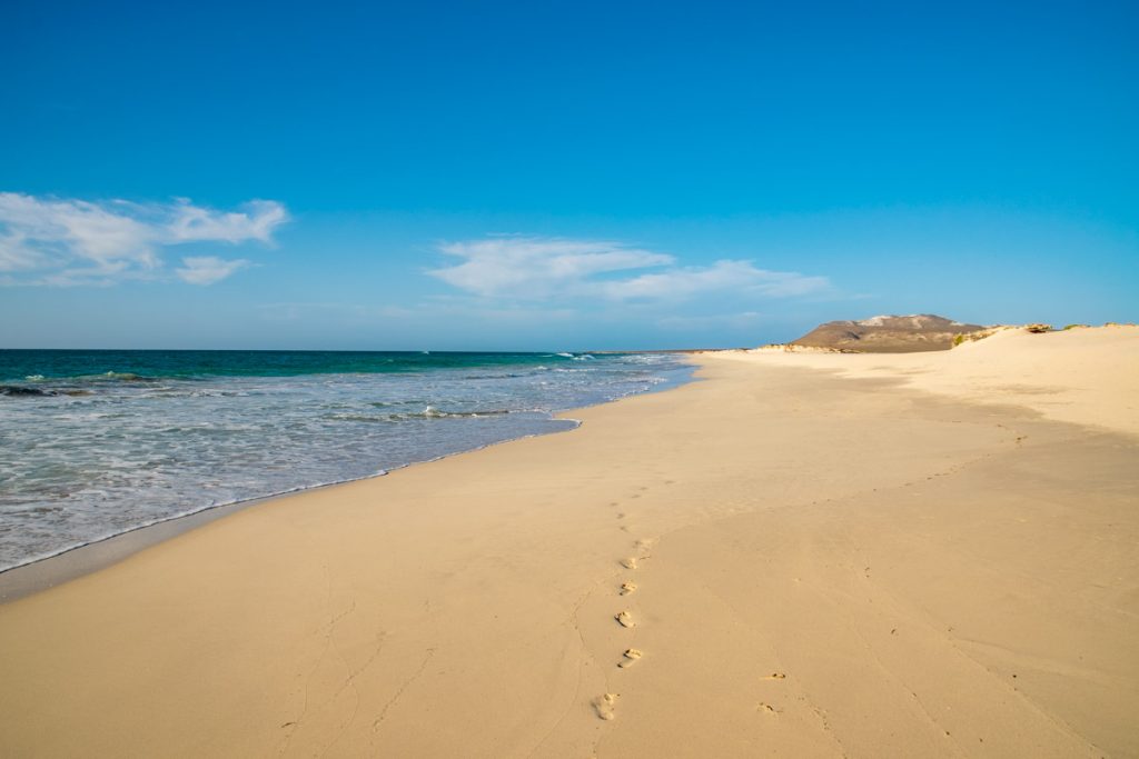 Santa Monica Beach, Boa Vista