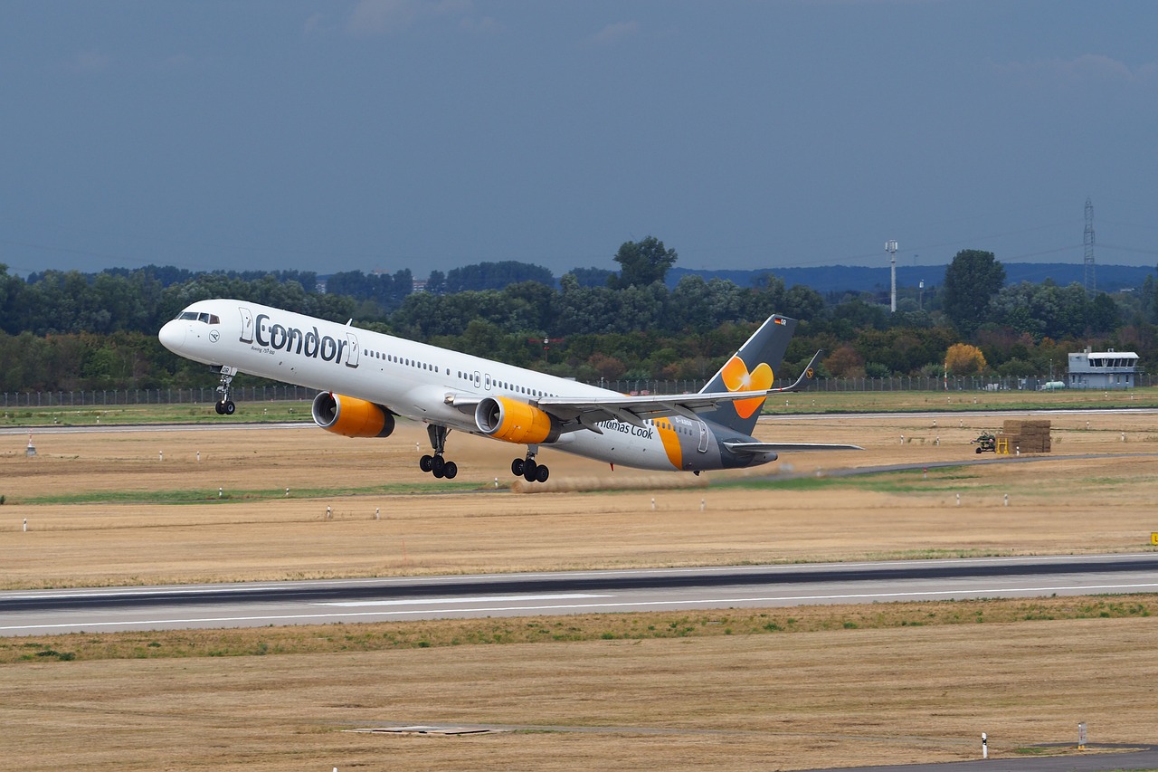 Condor