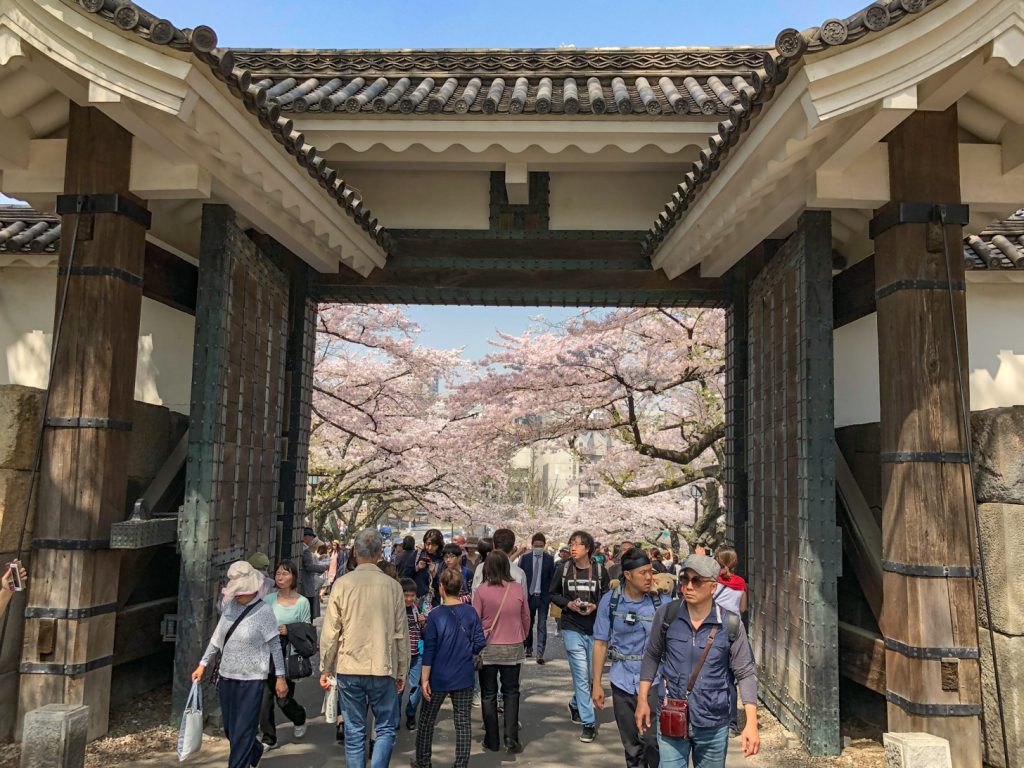 Tokyo tijdens bloesemperiode