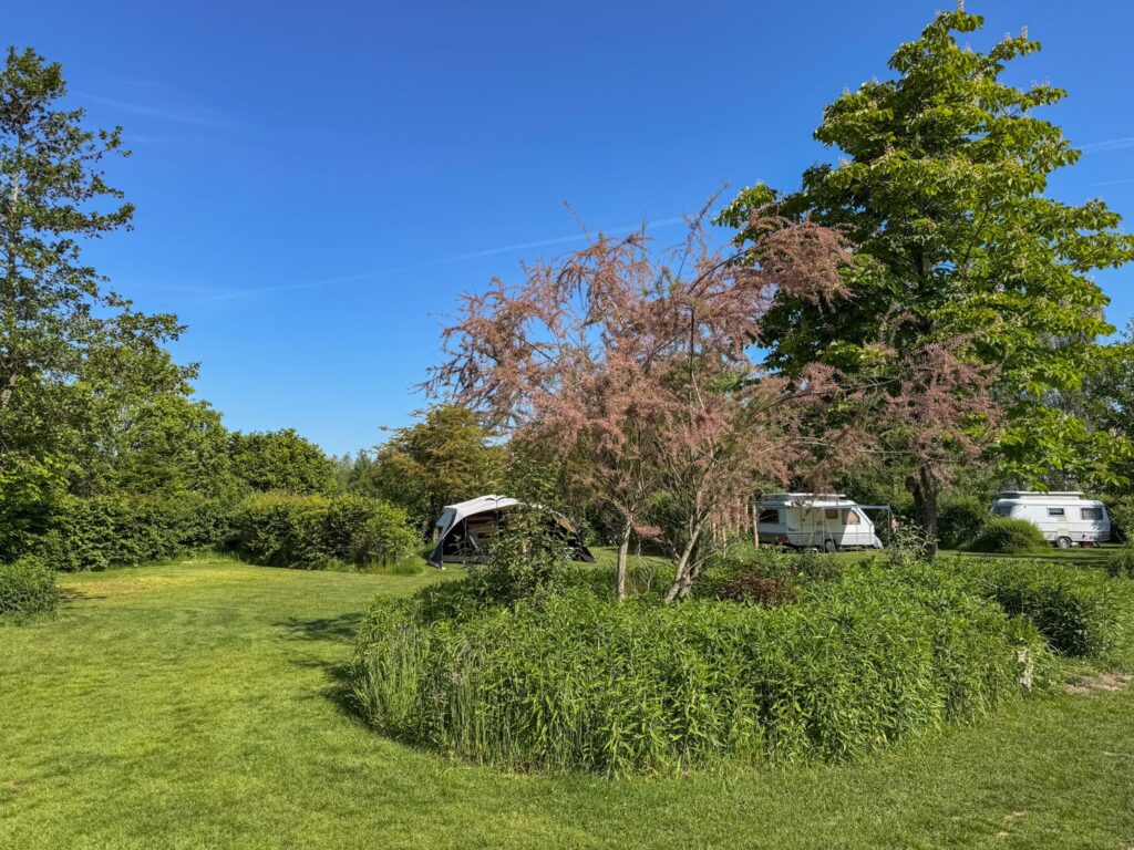 Hoe twee soortgelijke campings zo verschillend kunnen zijn