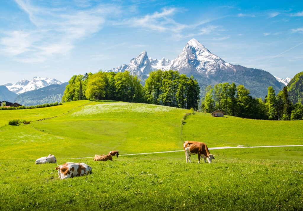 Agriturismo steeds populairder