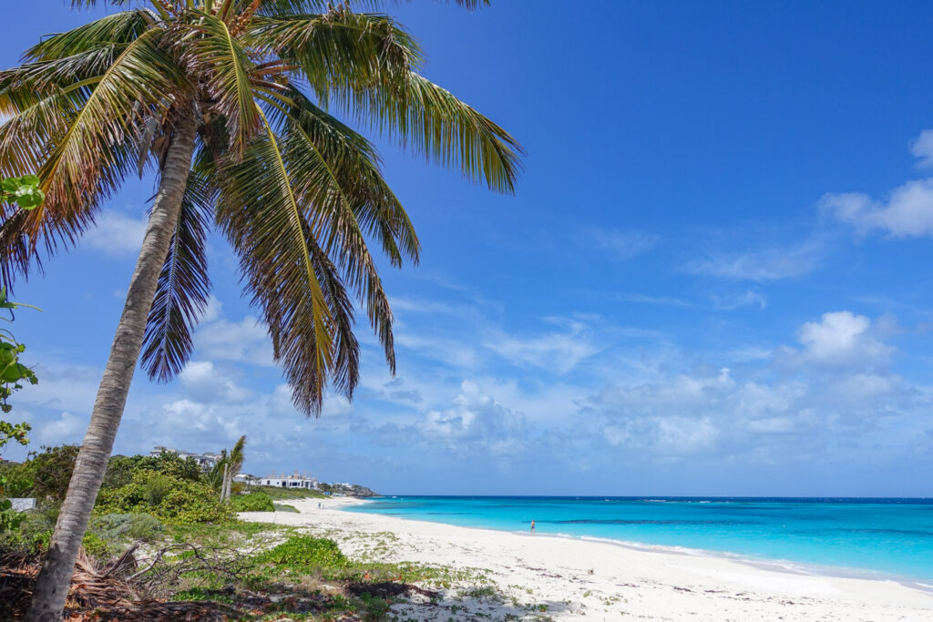 Welke Caribische bestemming past bij jou? Dit zijn de beste keuzes voor 2026